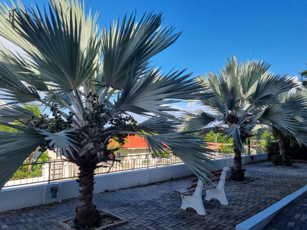 Studio Apartment Volterra Curacao يلمستاد المظهر الخارجي الصورة