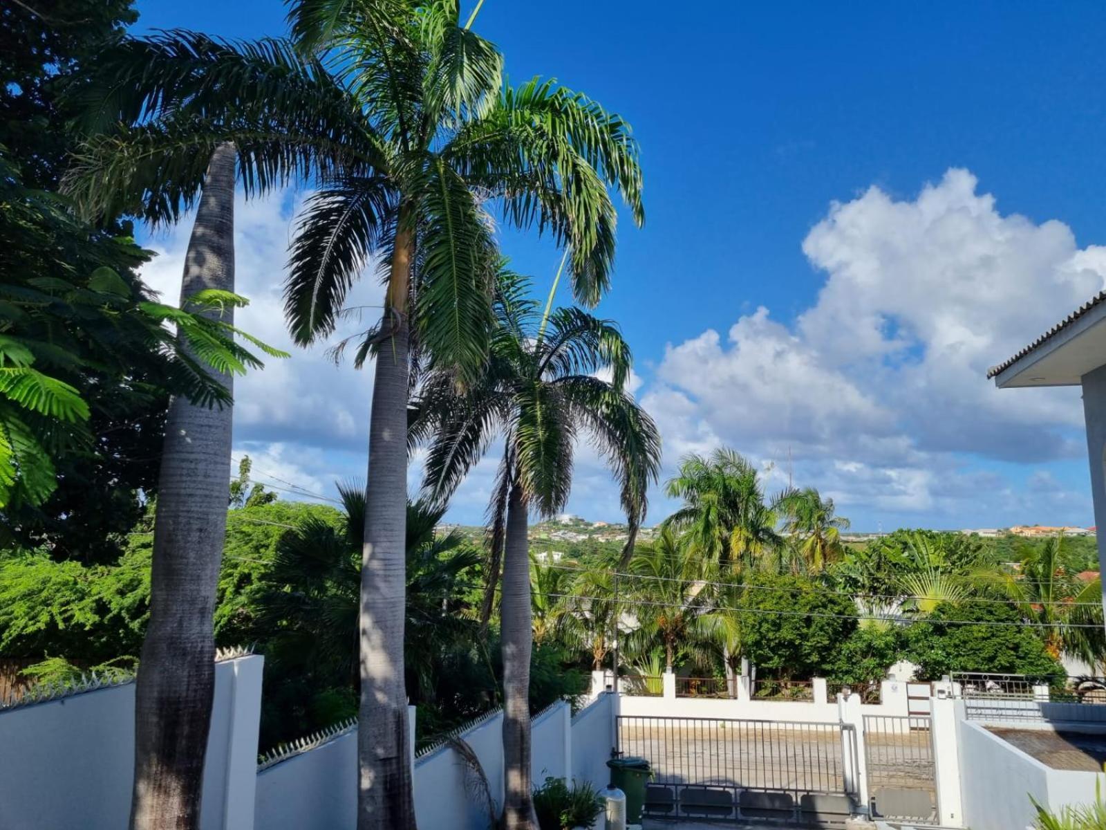 Studio Apartment Volterra Curacao يلمستاد المظهر الخارجي الصورة